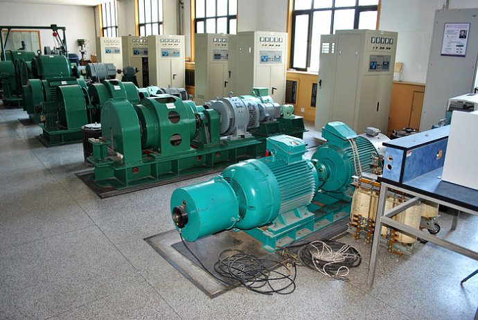 九湖镇某热电厂使用我厂的YKK高压电机提供动力